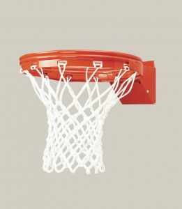 Double-rim Heavy-duty Recreational Flex Basketball Goal