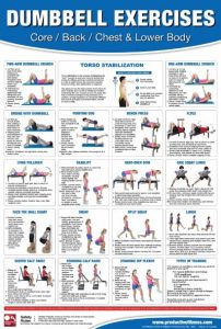 Dumbbell Exercises Poster  Lower Body, Core, Chest And Back