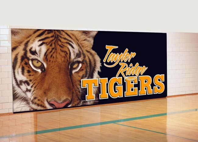 Gym Wall Padding
