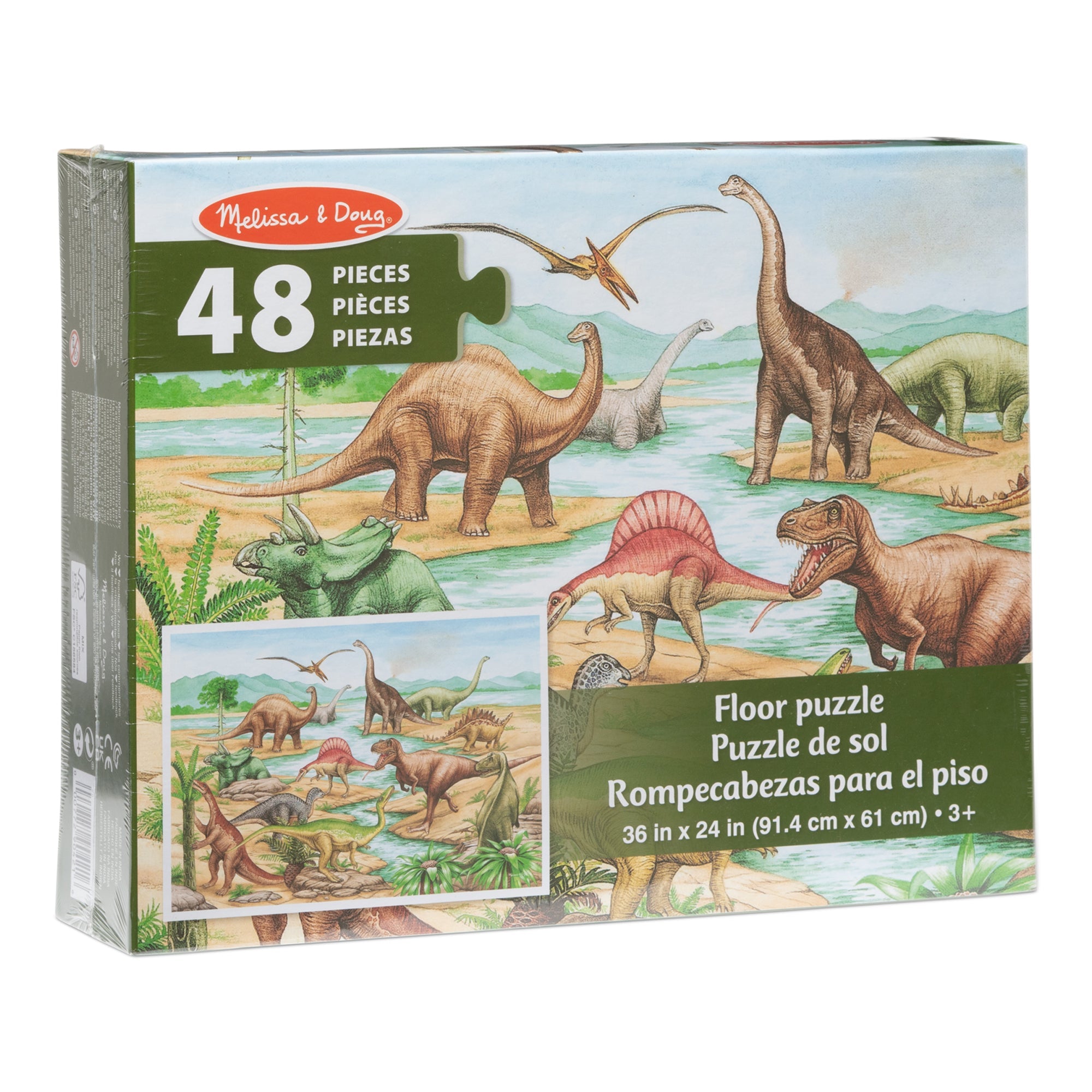 Floor Puzzles