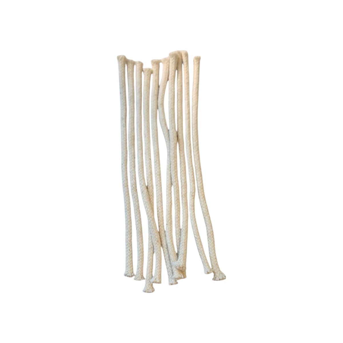 Alcohol Burner,  Wick Only,  10 pieces per Pack