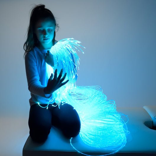 5ft Fiber Optic Light Source - 100 Strands