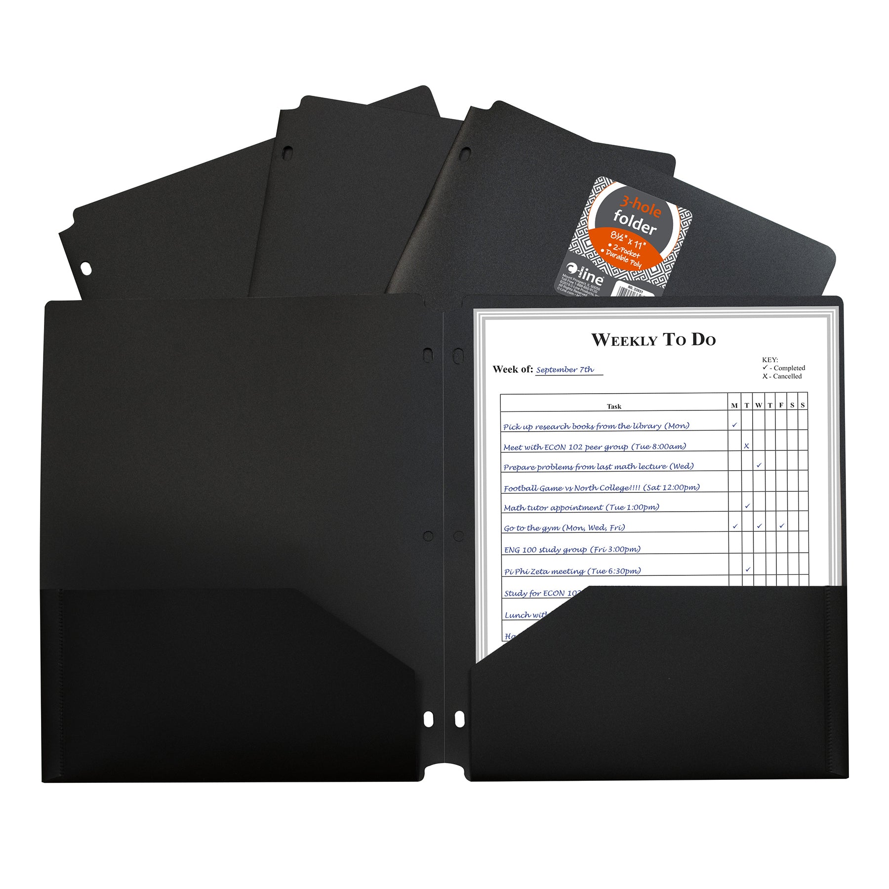 Two-Pocket Heavyweight Poly Portfolio Folder with Three-Hole Punch, Black, Each