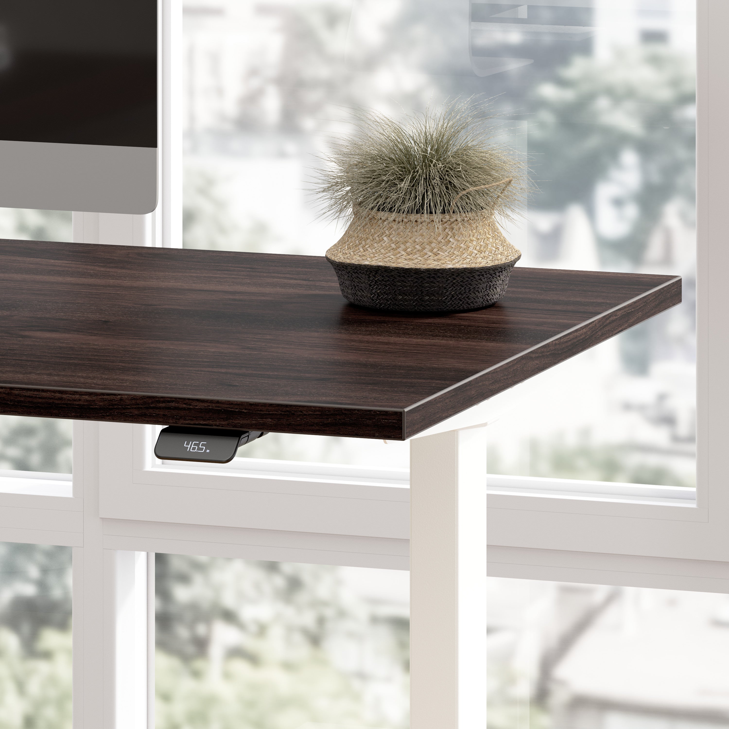 Bush Business Furniture Move 40 Series 48W x 24D Electric Height Adjustable Standing Desk in Black Walnut with White Base - 47.6" Width x 23.35" Depth x 28.17" Height