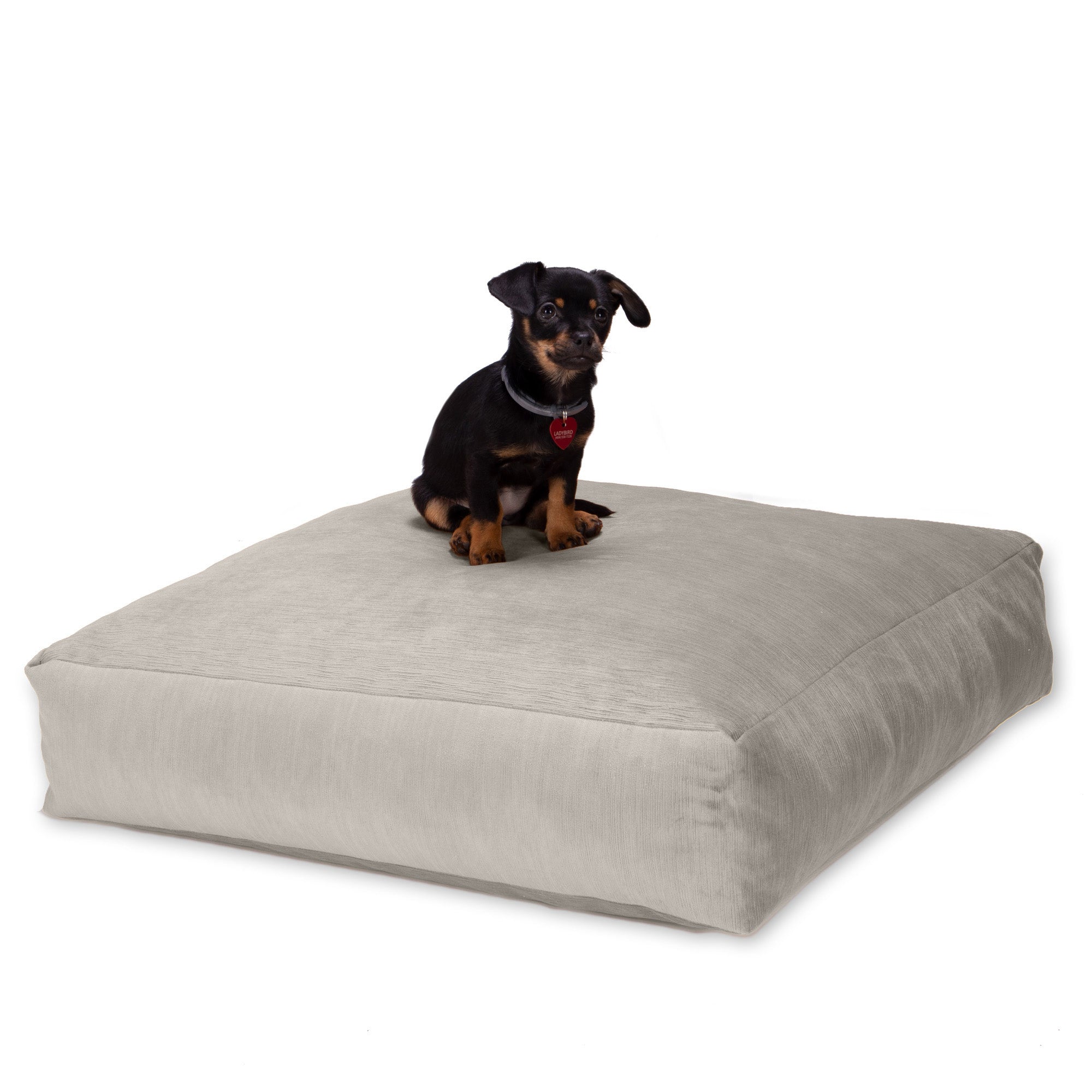 Jaxx Brio Large Décor Floor Pillow/Meditation Yoga Cushion, Plush Microvelvet, Dove Grey