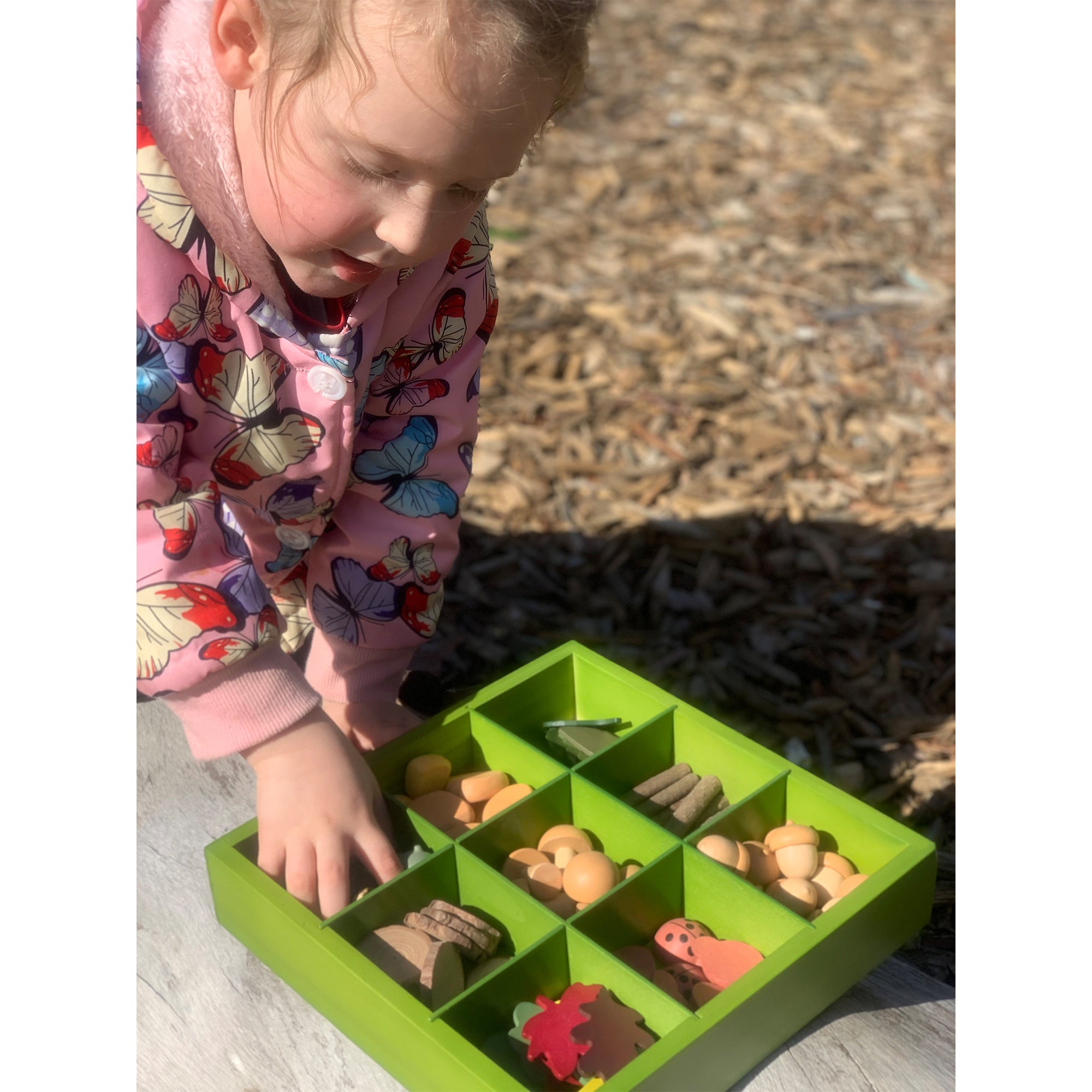 Nature's Sorting Box