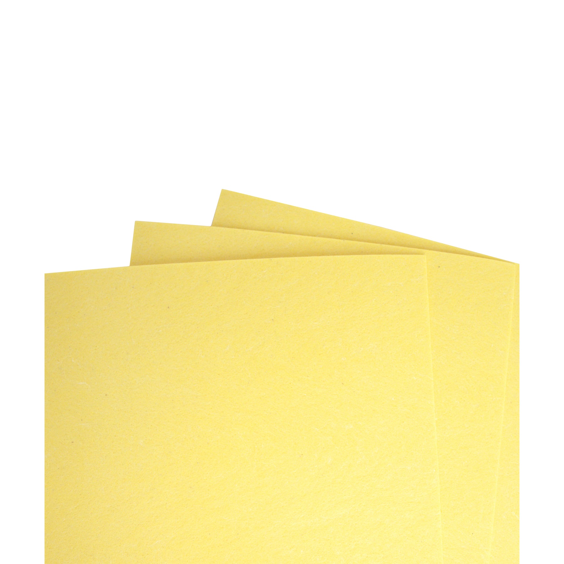 Premier Sponge Refill (3 Pack)