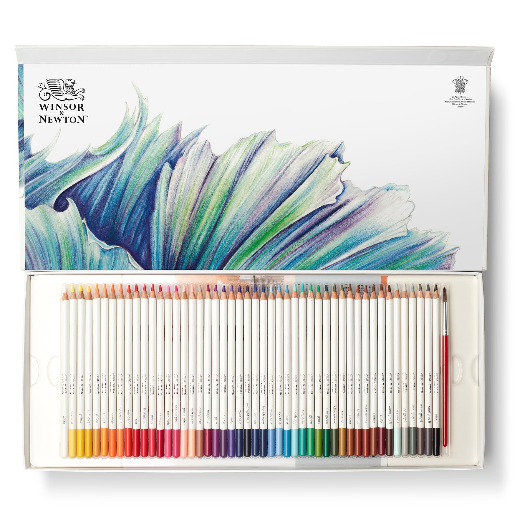 WN Studio Collection Watercolour Pencil Box Set - 50pc