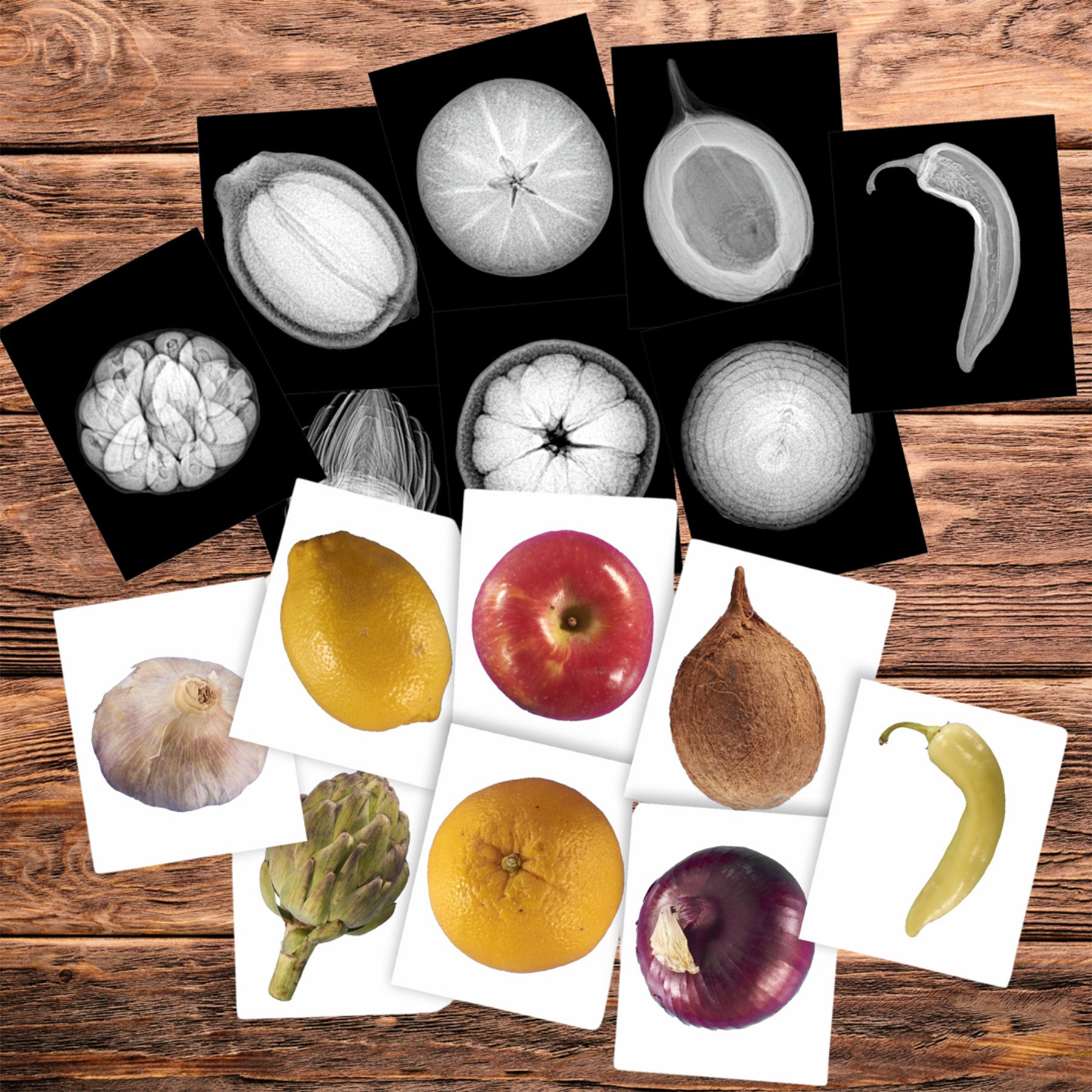 Plant X-Rays & Picture Cards, Set of 42