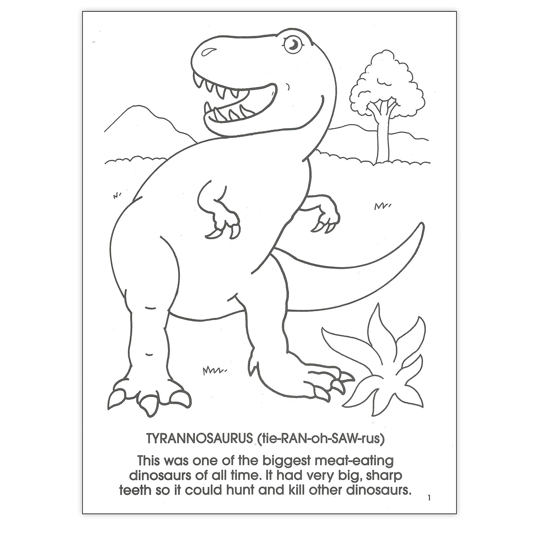 Dinosaurs Coloring Book