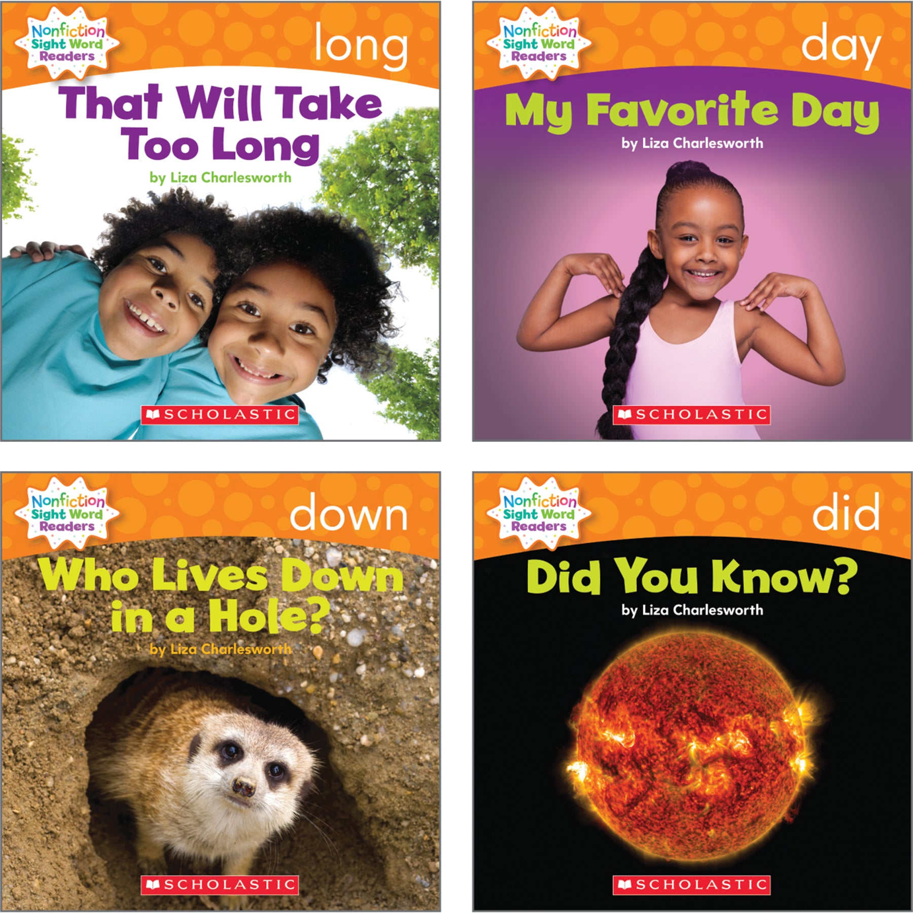 Nonfiction Sight Word Readers Classroom Tub, Level D, 6 Copies of 25 Titles