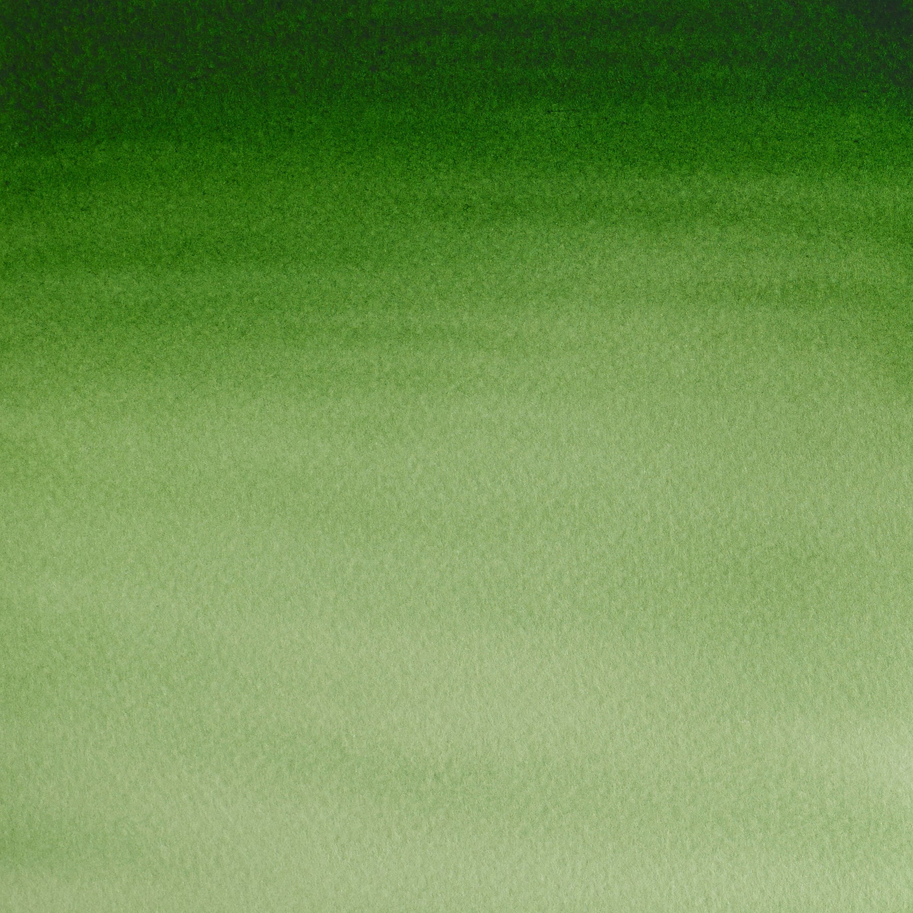 CWC 8ml tube - Hooker's Green Light