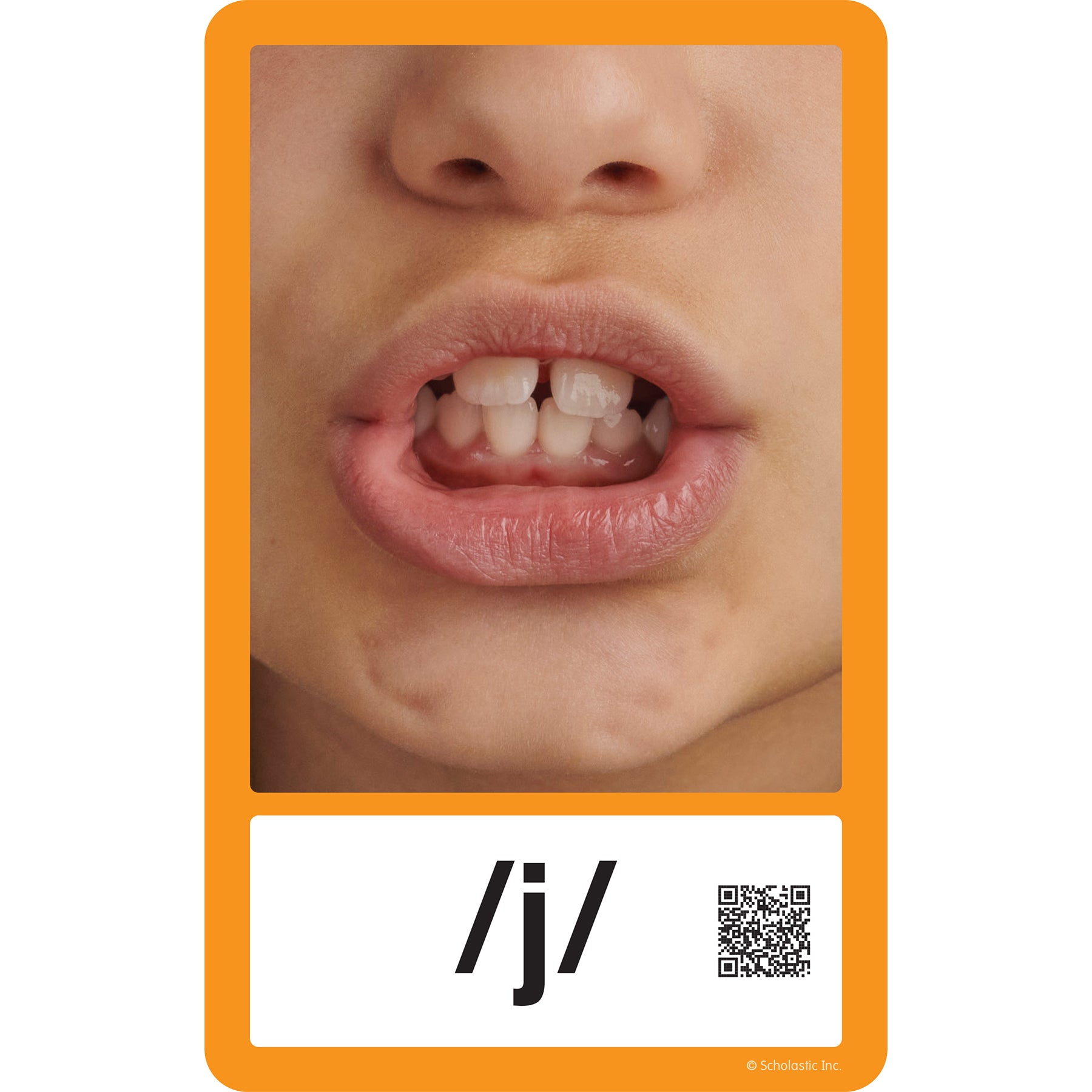 Articulation Cards