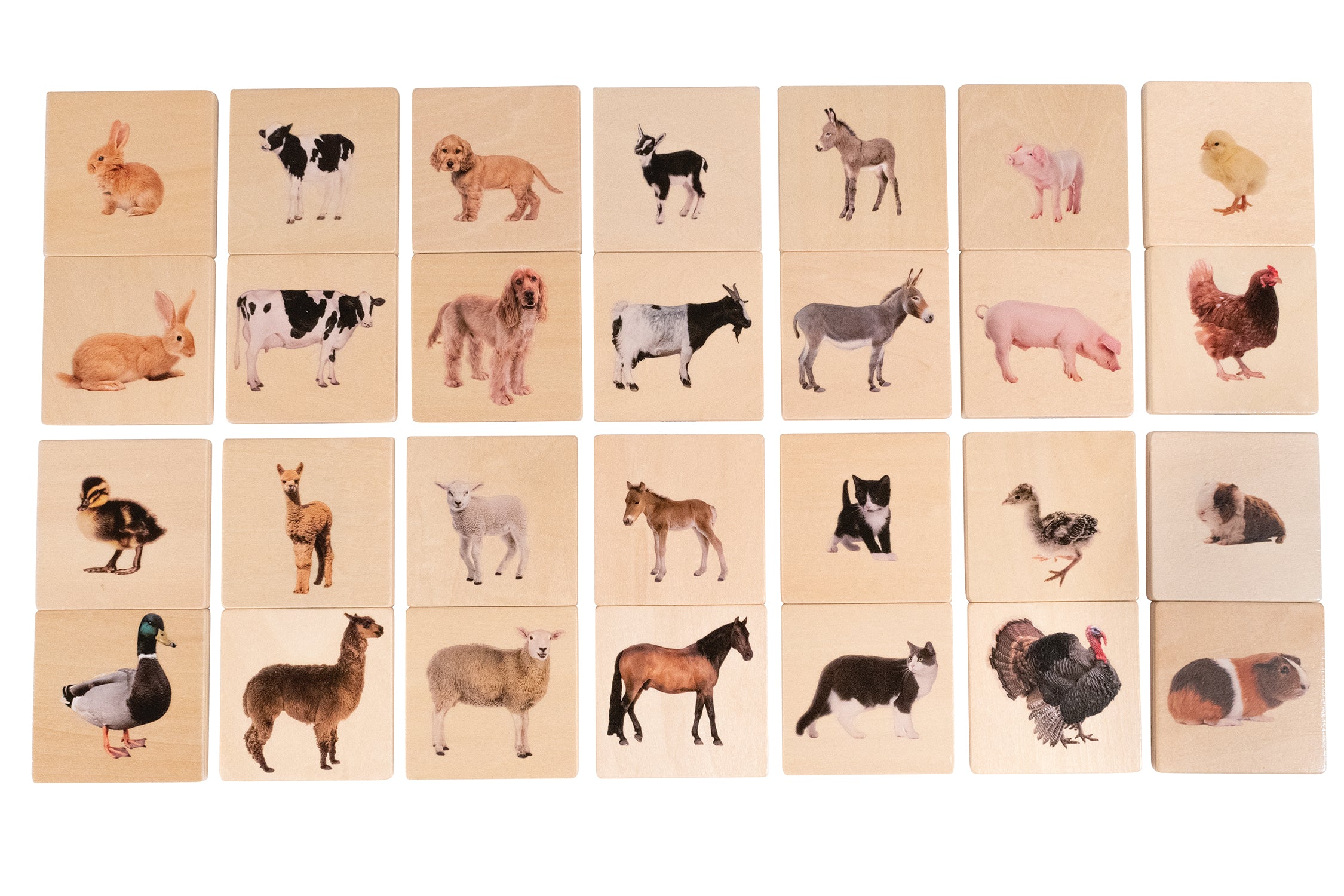 Domestic Animal Family Match - Set of 28