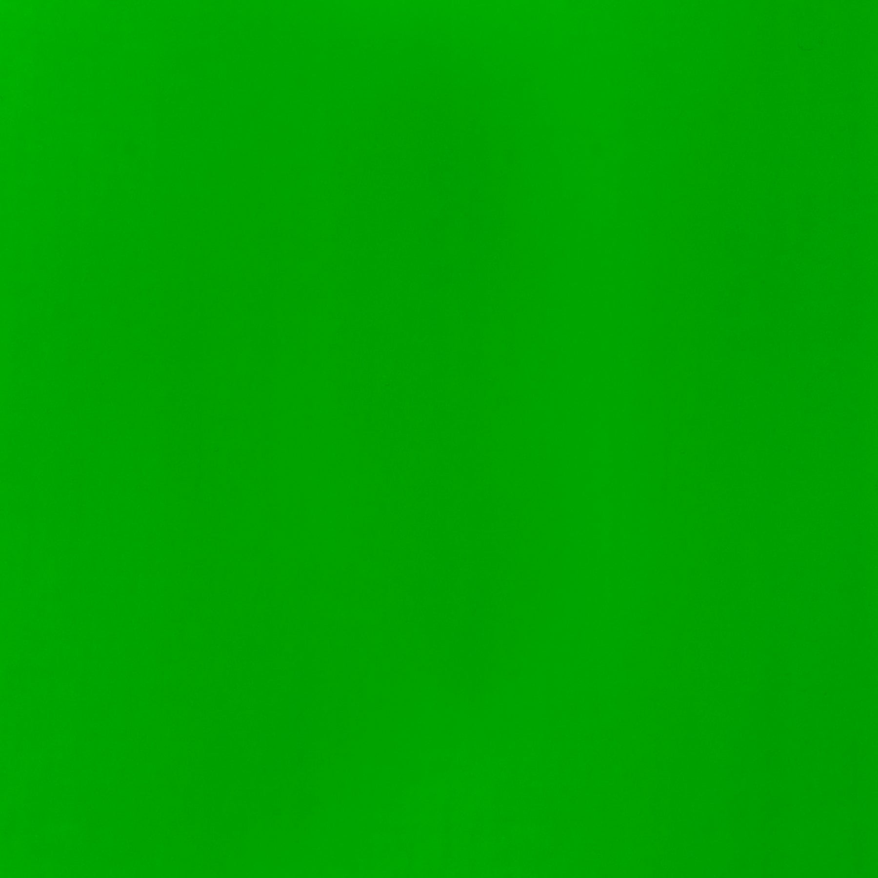LQ BASICS Acrylic Fluid 118ml Bottle -  Fluorescent Green