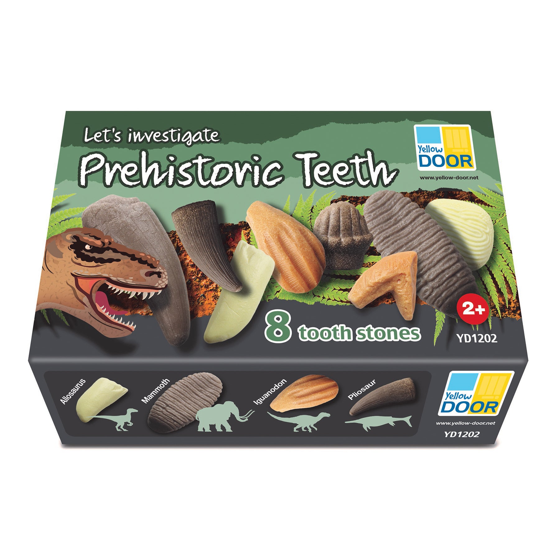 Let's Investigate – Prehistoric Teeth, Set of 8