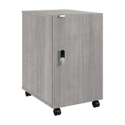 Bush Business Furniture Assure Mobile File Cabinet with Drawer, Door, and Keypad Lock in Platinum Gray - 15.65" Width x 20.24" Depth x 25.91" Height