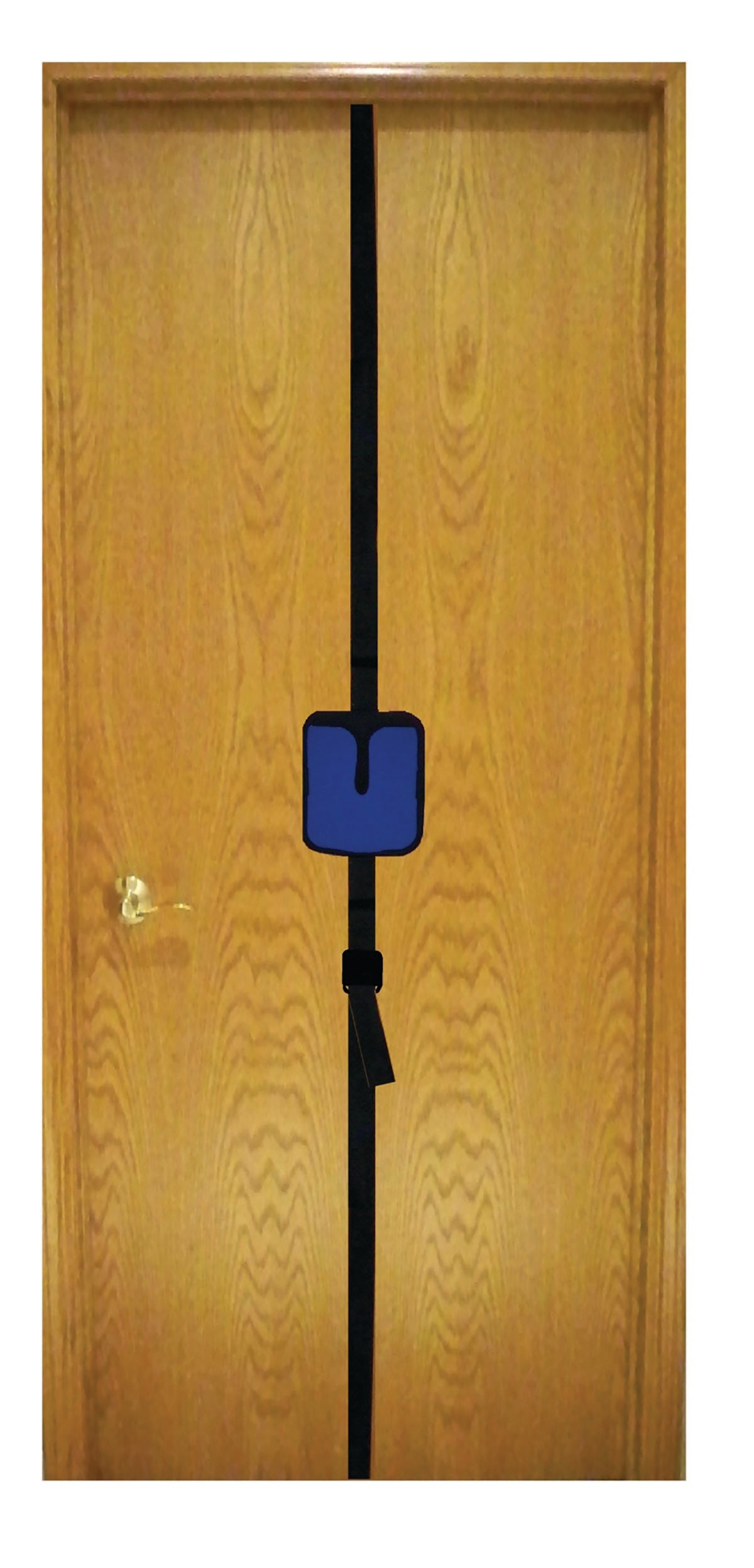 Door Mount (ONLY) for UE Ranger