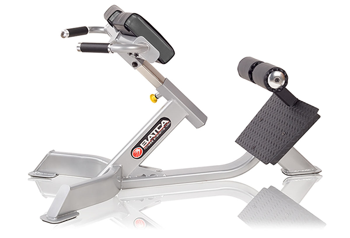 Batca Fitness Systems, 45 Degree Back Extension