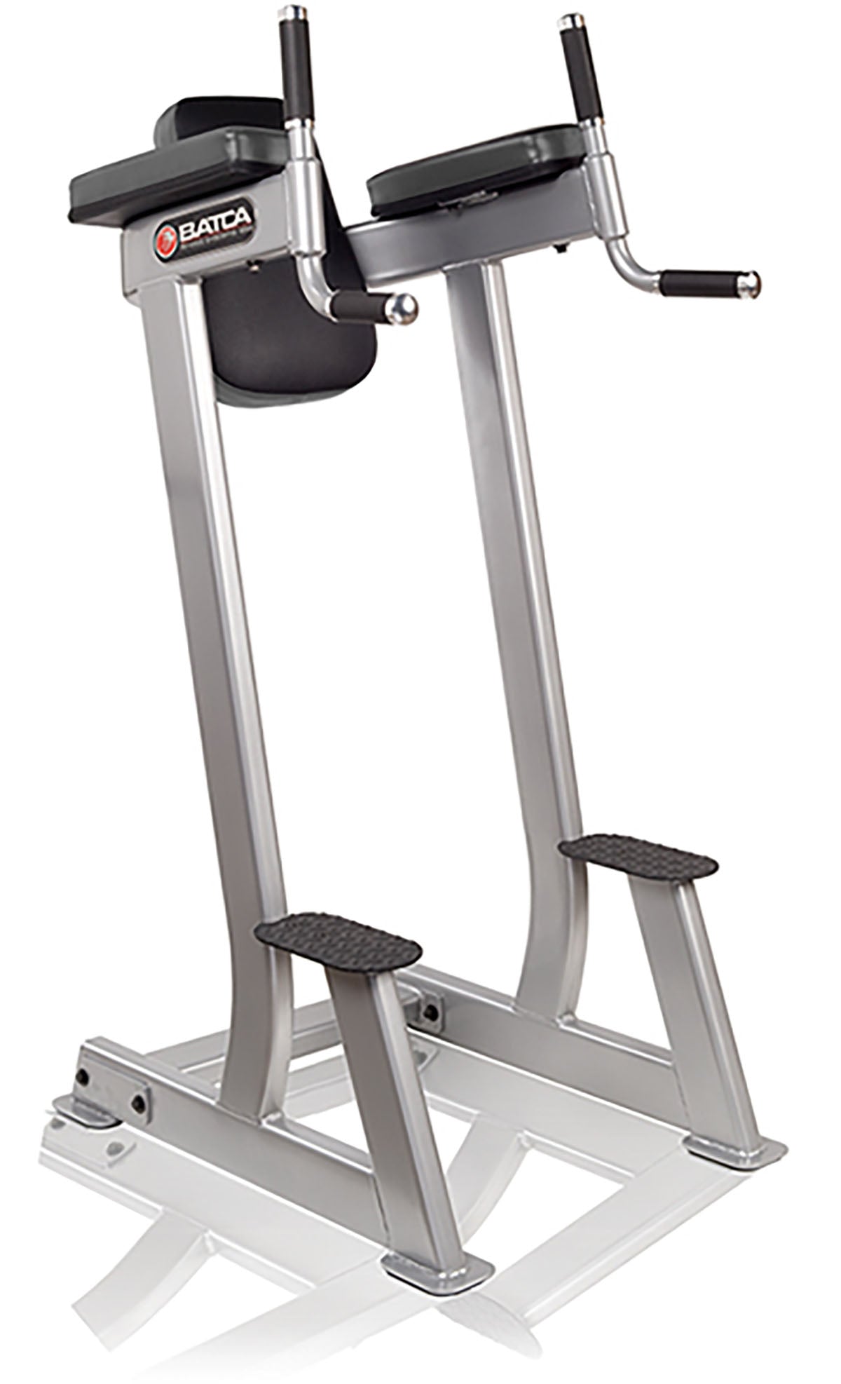 Batca Fitness Systems, Vertical Knee Raise/Dip