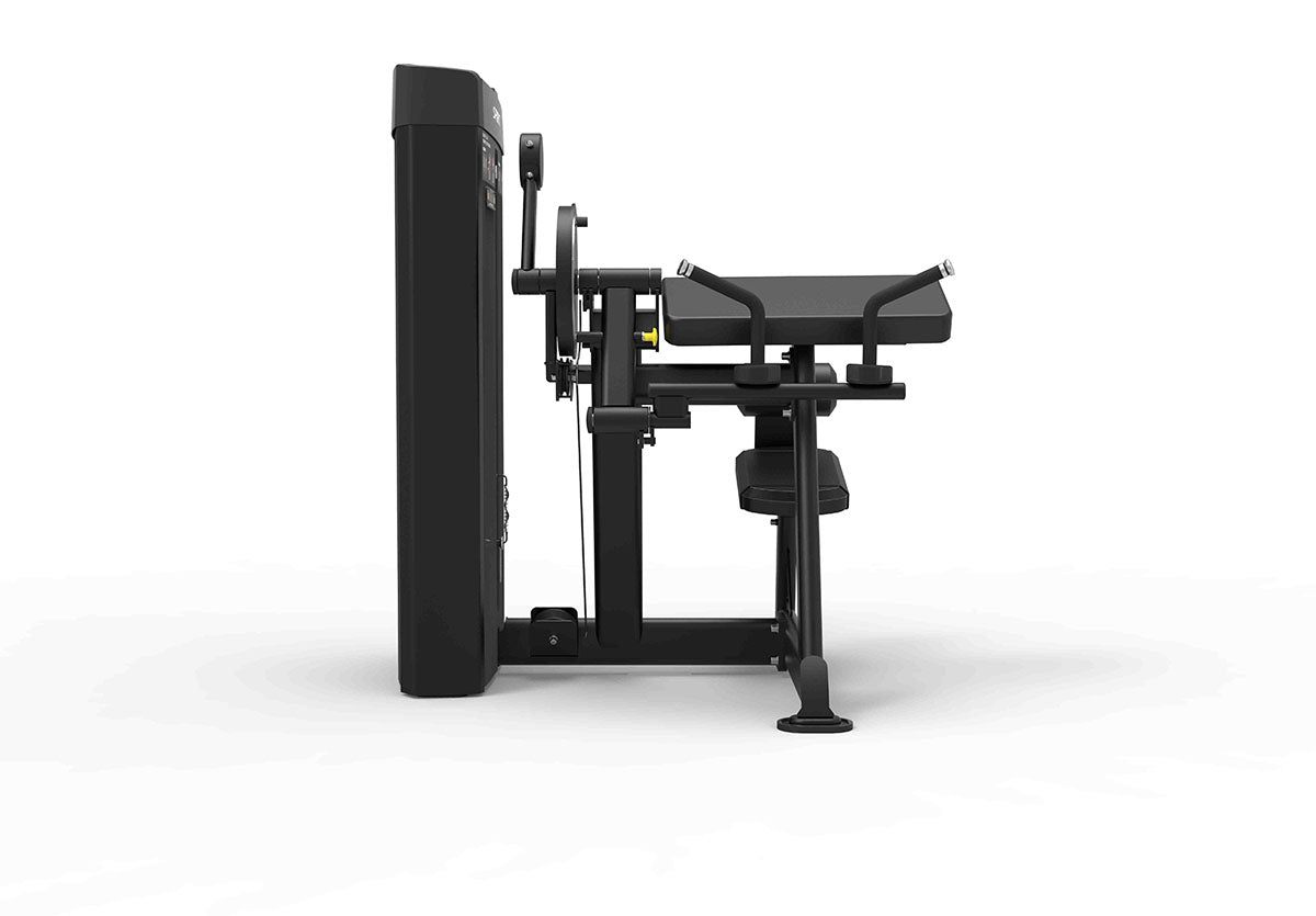 Spirit Dual, CSD-BCTE Biceps Curl/Triceps Extension