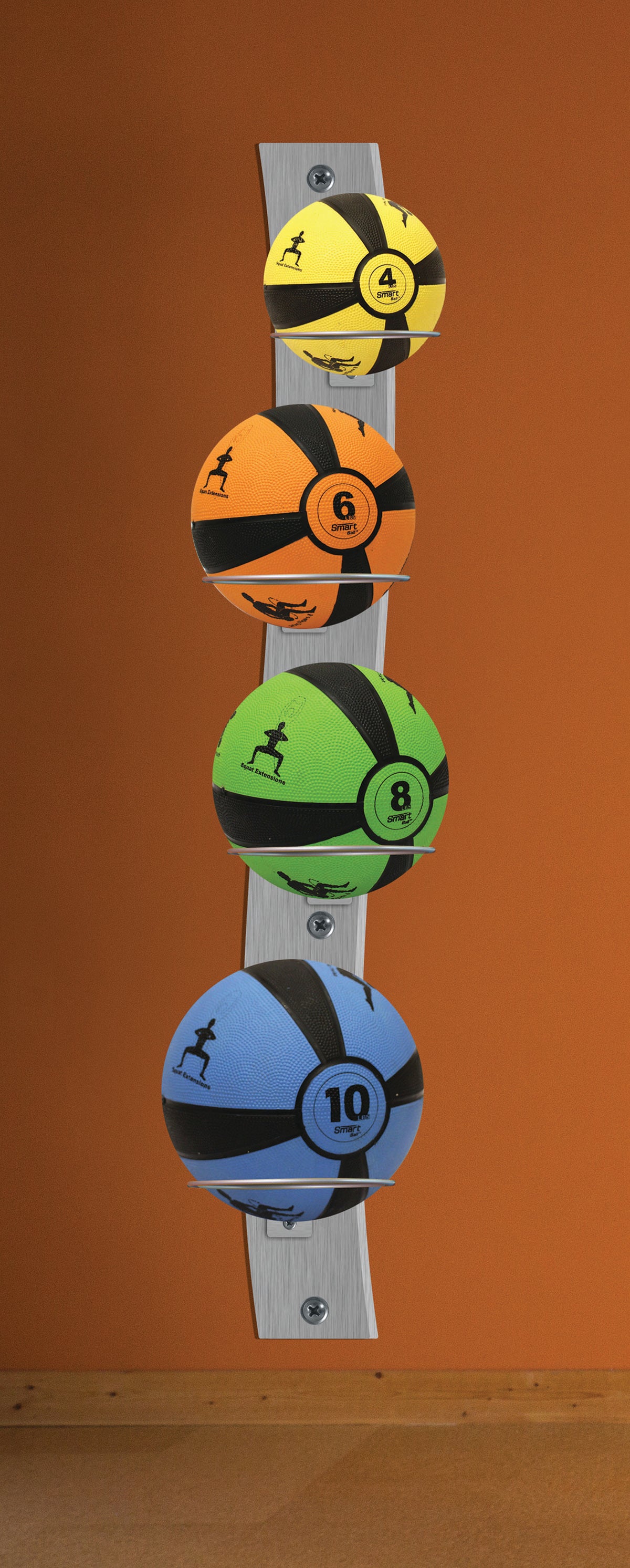 Smart Medicine Ball Wall Mounted Commercial Package