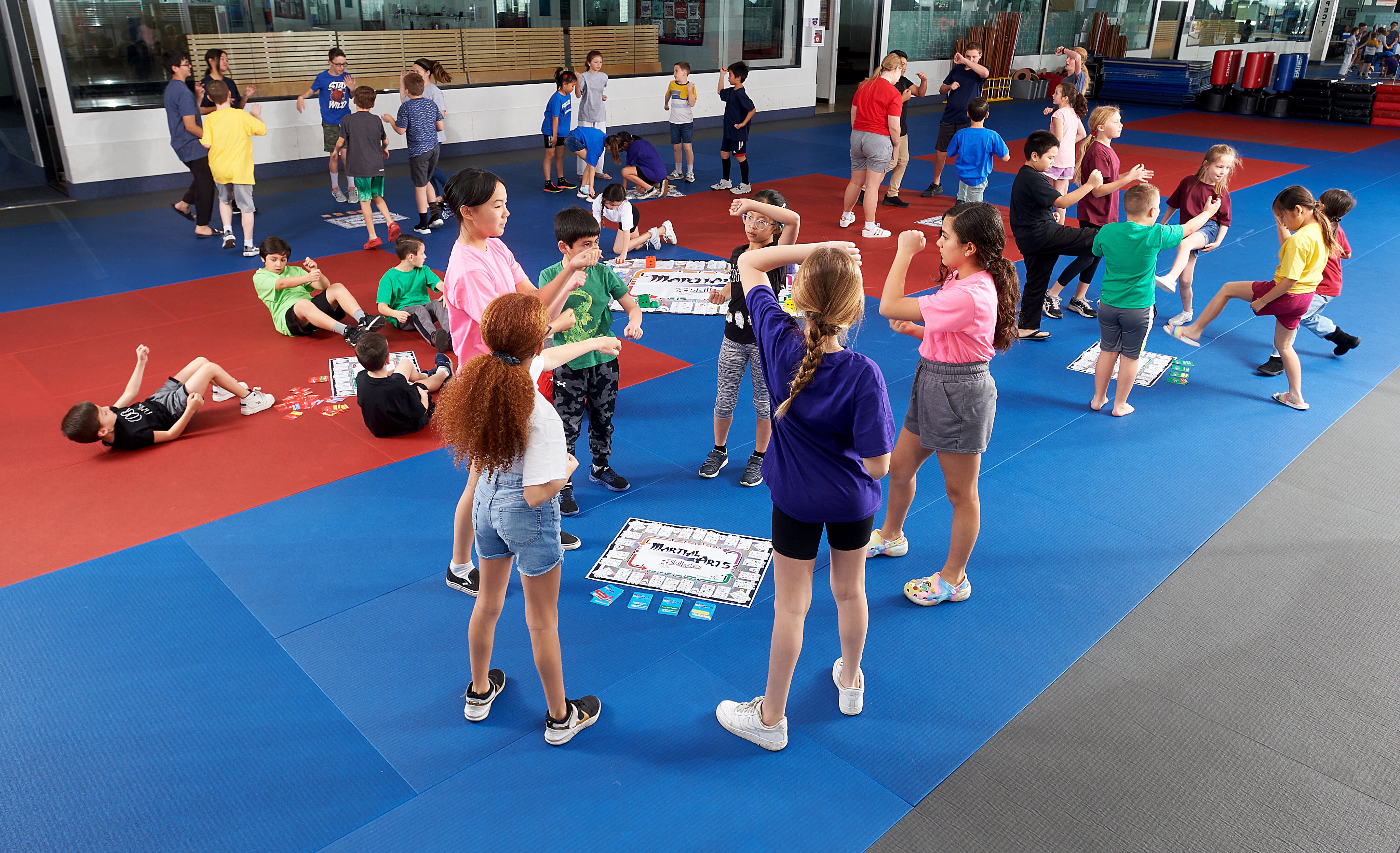 Martial Arts Skillastics® 1, Activity Kit / 1 box, Life Skills question cards
