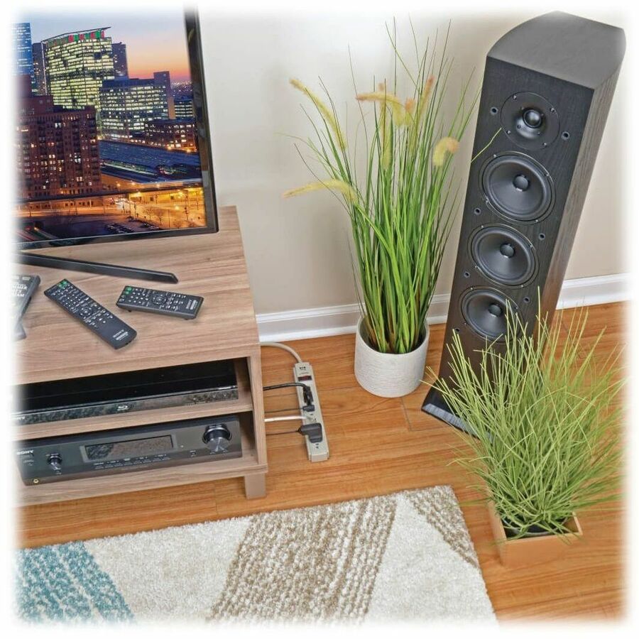 Tripp Lite series 6-Outlet Economy Surge Protectors - 6 x NEMA 5-15R - 1800 VA - 790 J - 120 V AC Input - 120 V AC Output - 4 ft