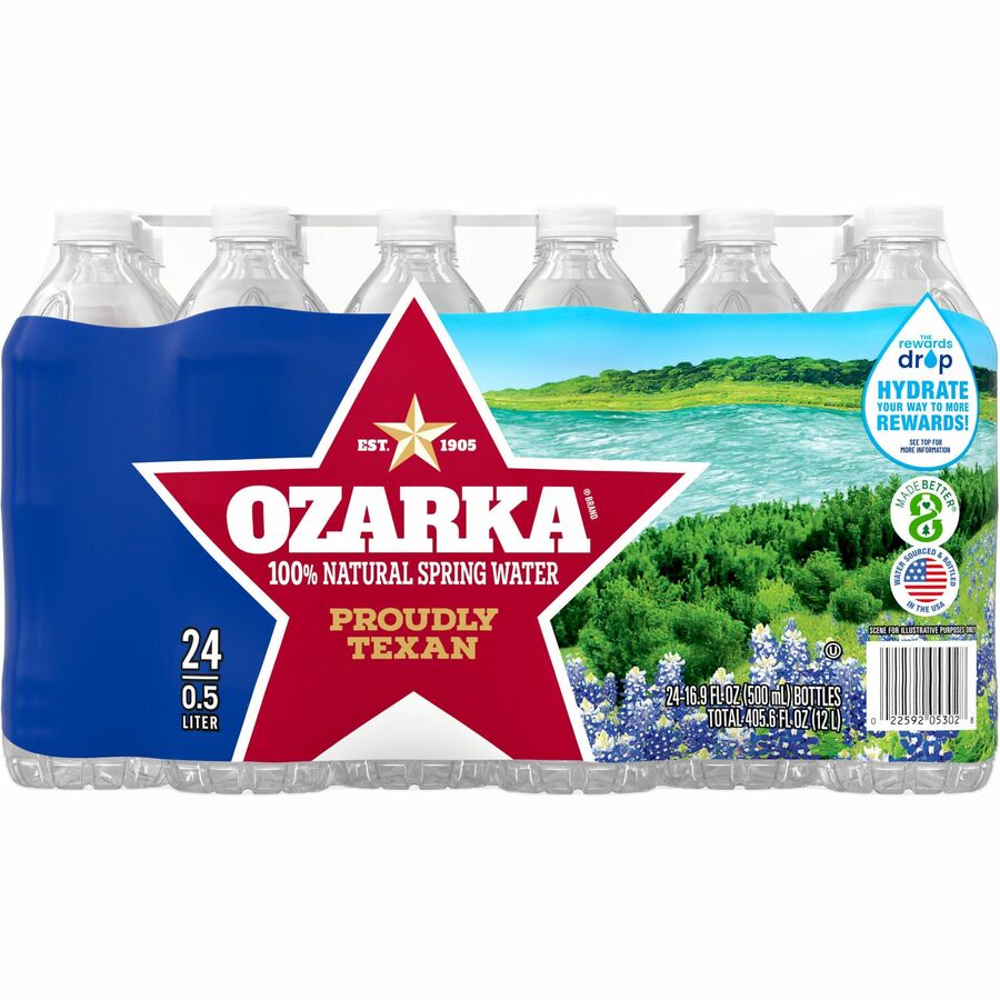 Primo Brands Premium Bottled Spring Water - Ready-to-Drink - 16.91 fl oz (500 mL) - 24 / Carton