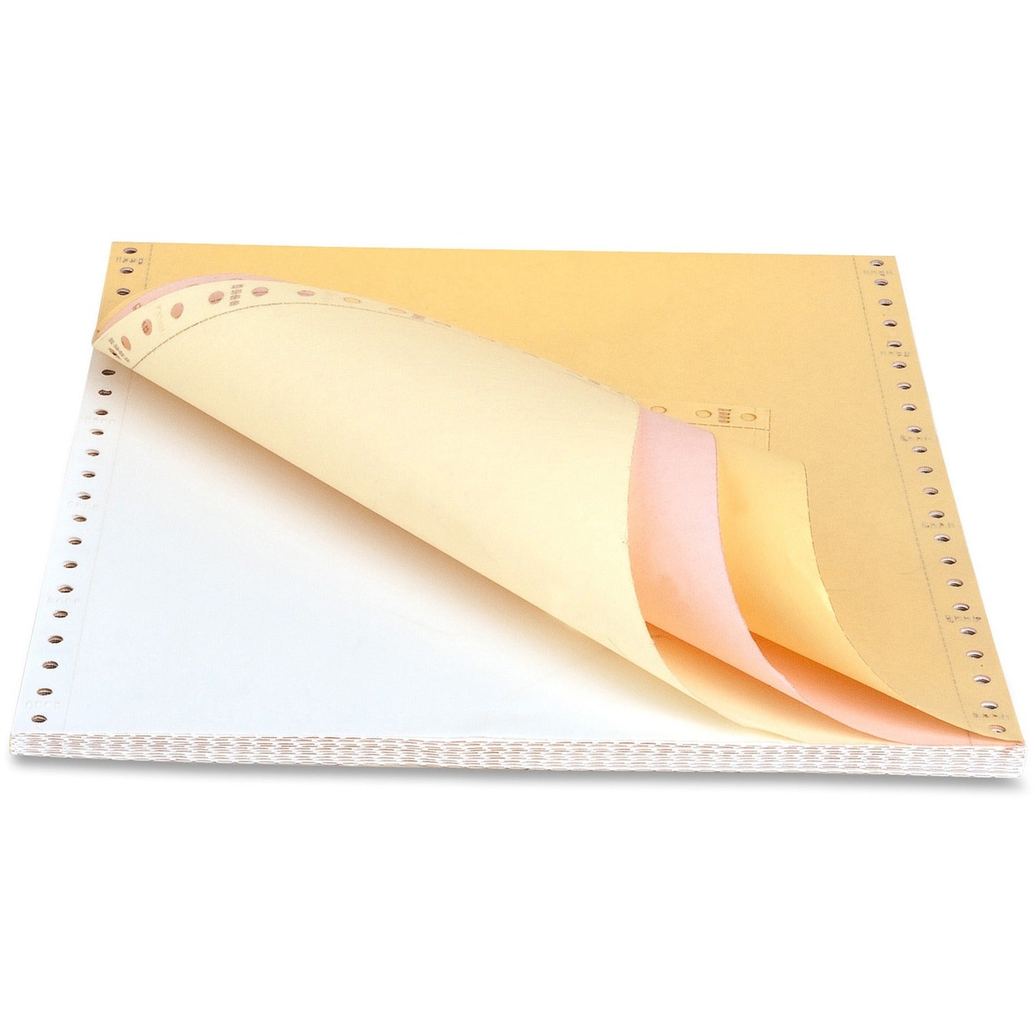 Letter - 8 1/2" x 11" - 15 lb Basis Weight - Perforated - Assorted - 900 / Carton