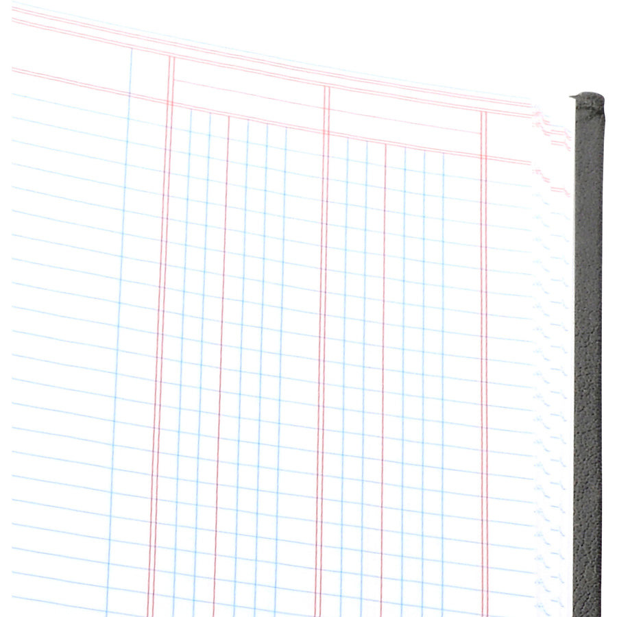 Wilson Jones 74100 2-Column Account Book