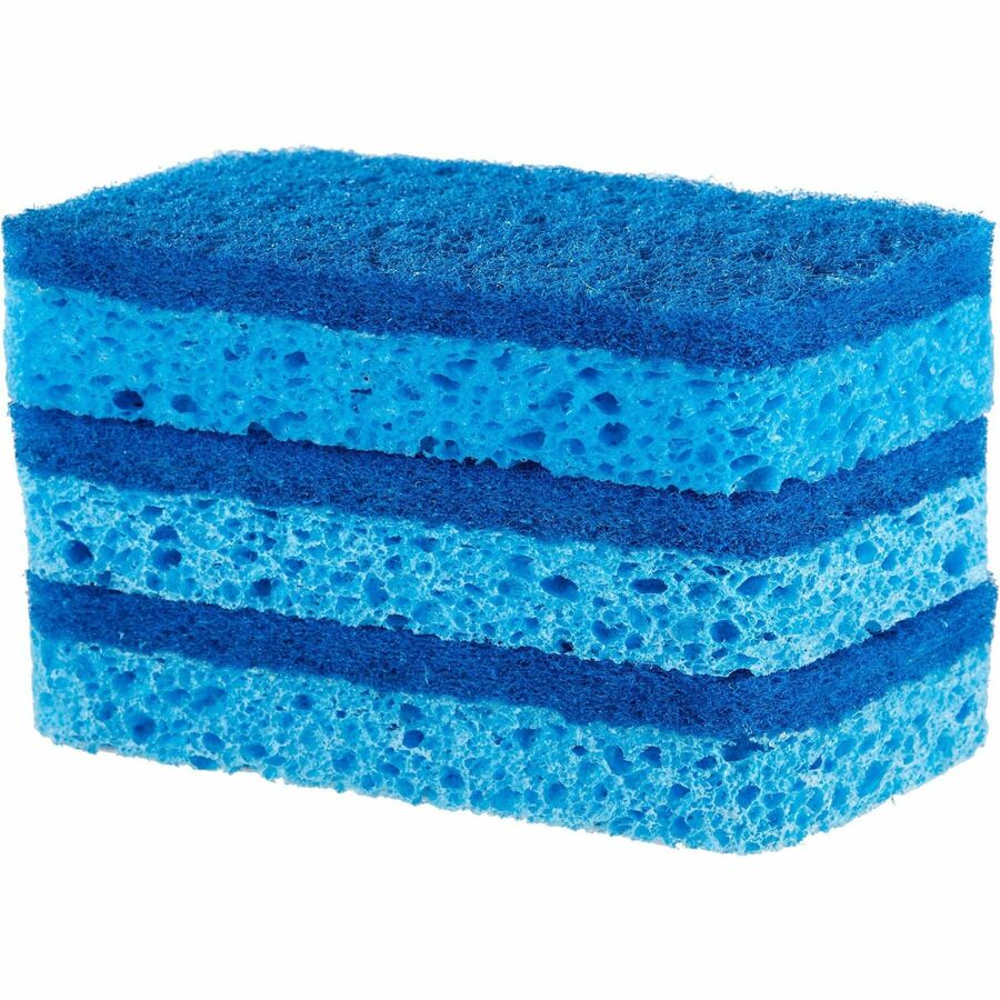 5.3" Height x 3" Width x 0.9" Depth - 3 / Pack - Cellulose - Blue