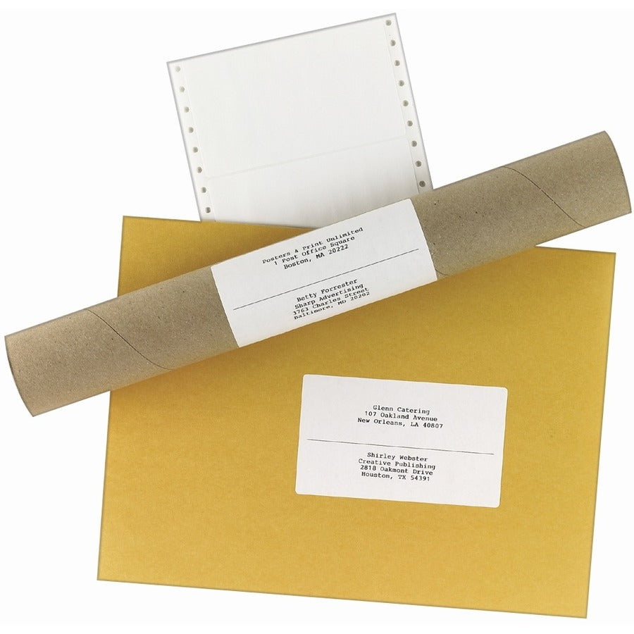 Avery&reg; Address Label - 5" Width x 2 15/16" Length - Permanent Adhesive - Dot Matrix - White - 1 / Sheet - 3000 Total Label(s) - 3000 / Box