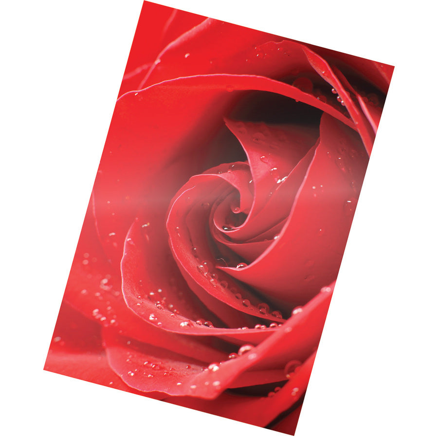Fellowes Photo Card Glossy Thermal Laminating Pouches - Sheet Size Supported: Photo-size - Laminating Pouch/Sheet Size: 6.25" Width x 5 mil Thickness - Type G - Glossy - for Document, Photo - Durable - Clear - 1 Pack