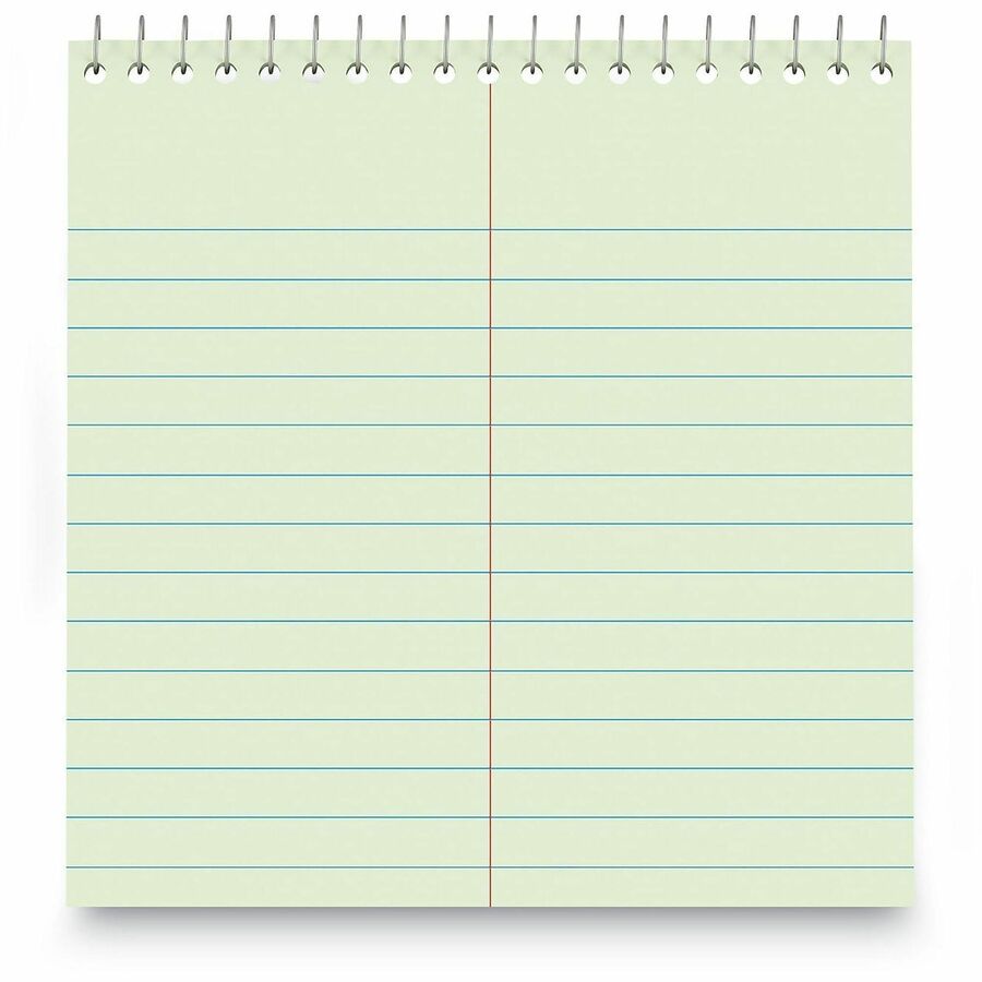 1 Subject(s) - 80 Sheets - Spiral - Red Margin - 16 lb Basis Weight - 6" x 9" Sheet Size - 9" Height x 6" Width - Green Paper - Chipboard Cover