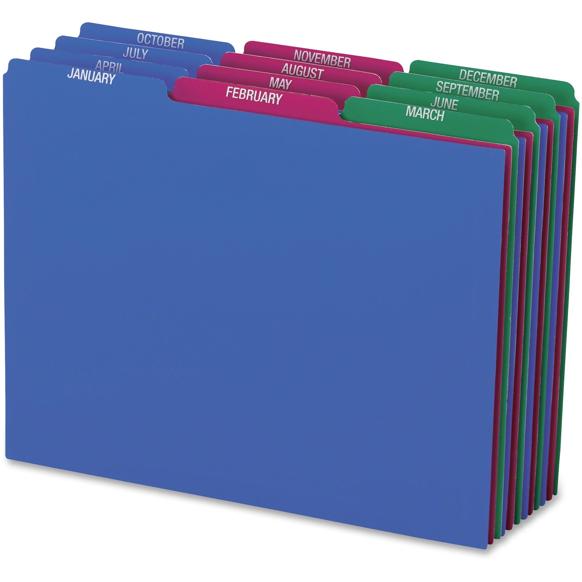 Printed Tab(s) - Month - January-December - 8.5" Divider Width x 11" Divider Length - Letter - Assorted Polypropylene Divider - Assorted Tab(s) - Tear Resistant, Wear Resistant, Moisture Resistant - 12 / Set