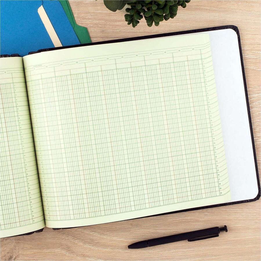 24 lb - Double Sided Sheet - Ledger - 11.88" x 9.25" Sheet Size - 4 x Holes - 20 Columns per Sheet - Green Sheet(s) - Brown, Green Print Color - Paper - 1 Pack