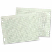24 lb - Double Sided Sheet - Ledger - 11.88" x 9.25" Sheet Size - 4 x Holes - 20 Columns per Sheet - Green Sheet(s) - Brown, Green Print Color - Paper - 1 Pack