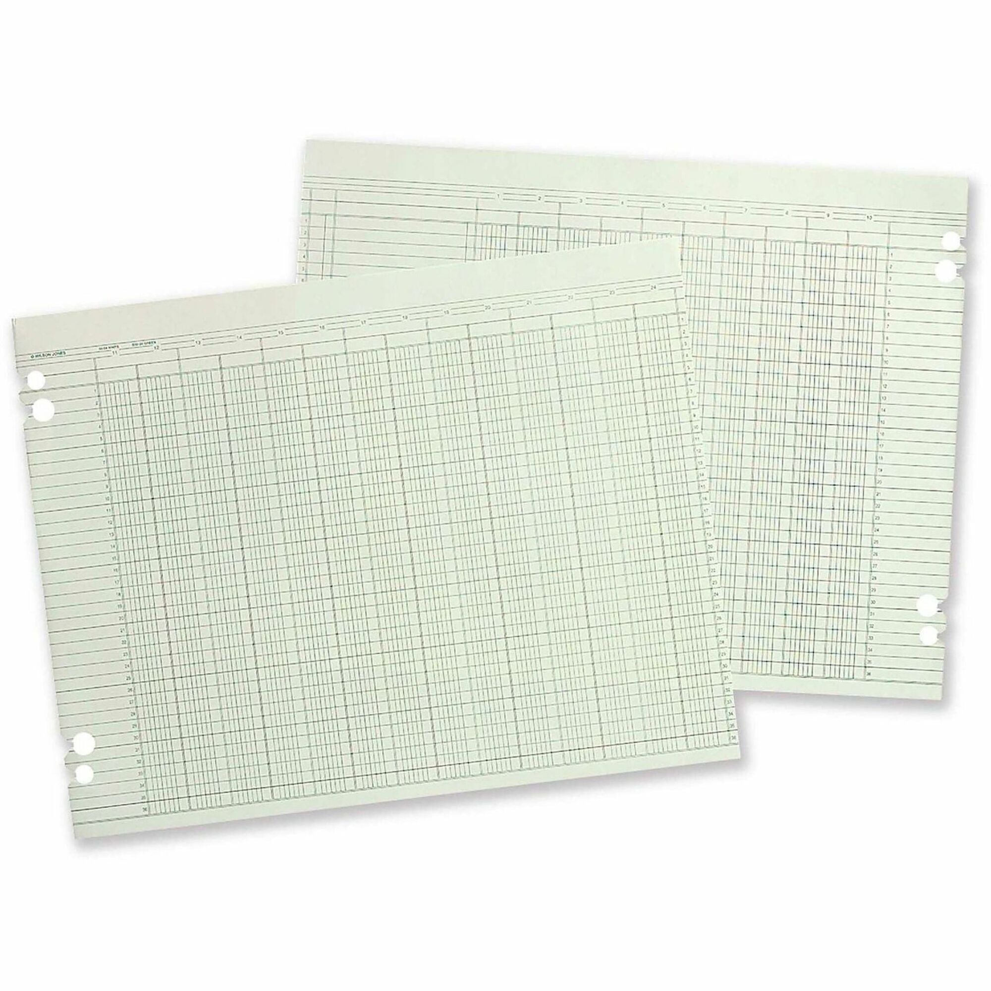 24 lb - Double Sided Sheet - Ledger - 11.88" x 9.25" Sheet Size - 4 x Holes - 20 Columns per Sheet - Green Sheet(s) - Brown, Green Print Color - Paper - 1 Pack