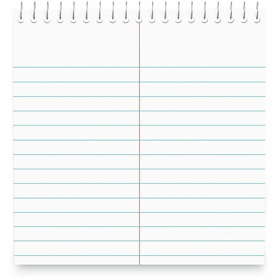1 Subject(s) - 80 Sheets - Spiral - Red Margin - 16 lb Basis Weight - 6" x 9" Sheet Size - 9" Height x 6" Width - White Paper