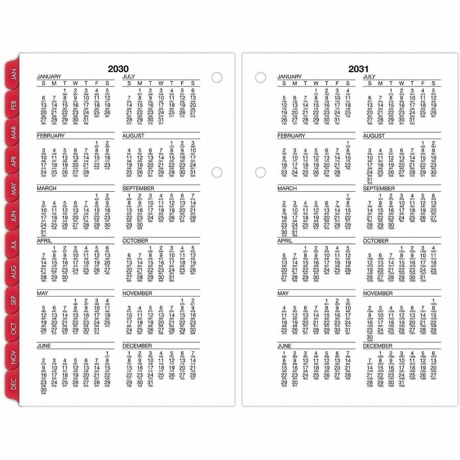 At-A-Glance Burkhart's Day Counter Loose-Leaf Desk Calendar Refill