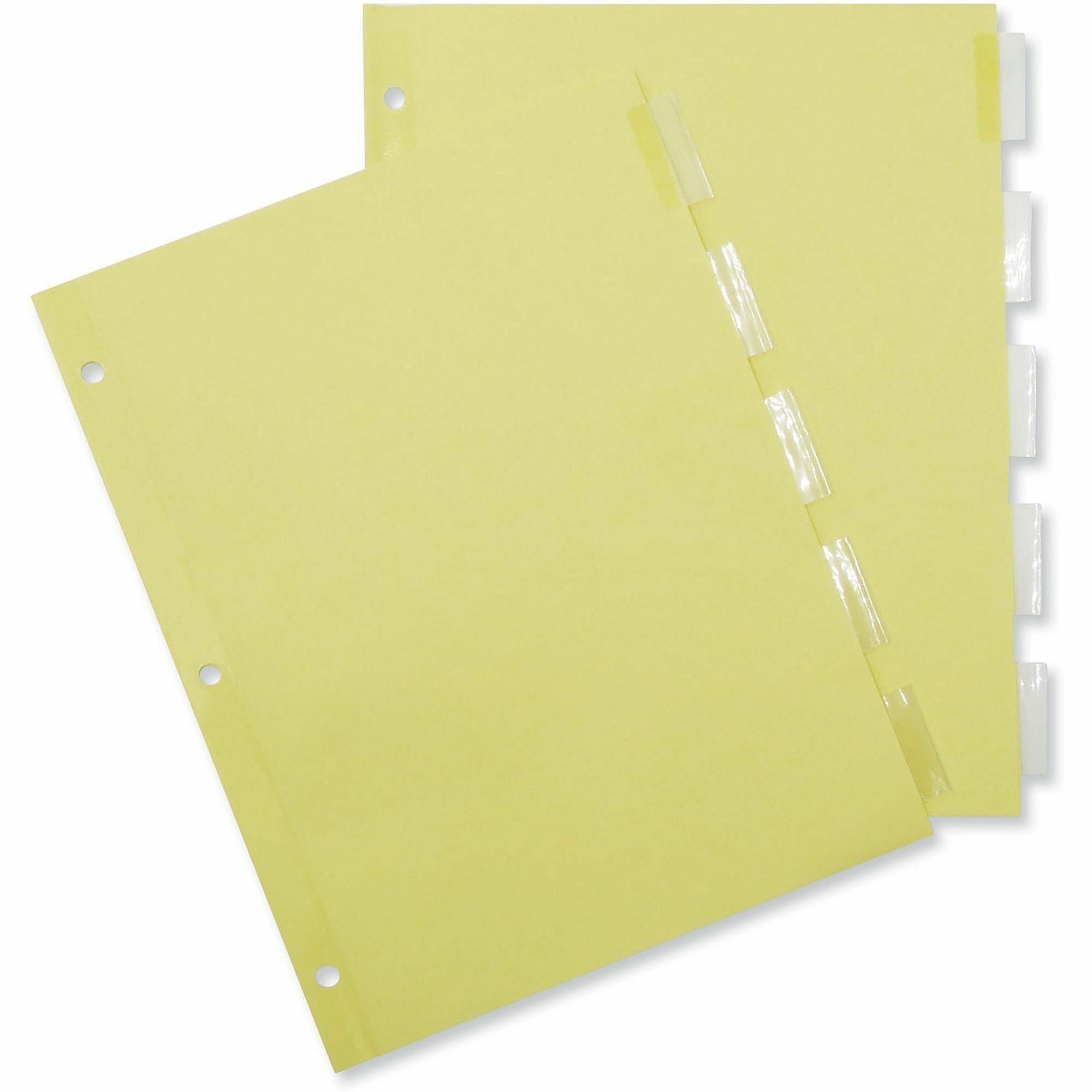 24 x Divider(s) - 5 Blank Side Tab(s) - 8.5" Divider Width x 11" Divider Length - Letter - 3 Hole Punched - Buff Paper Divider - Clear Plastic Tab(s) - 0% - Customizable, Mylar Reinforced Edge - 24 Set