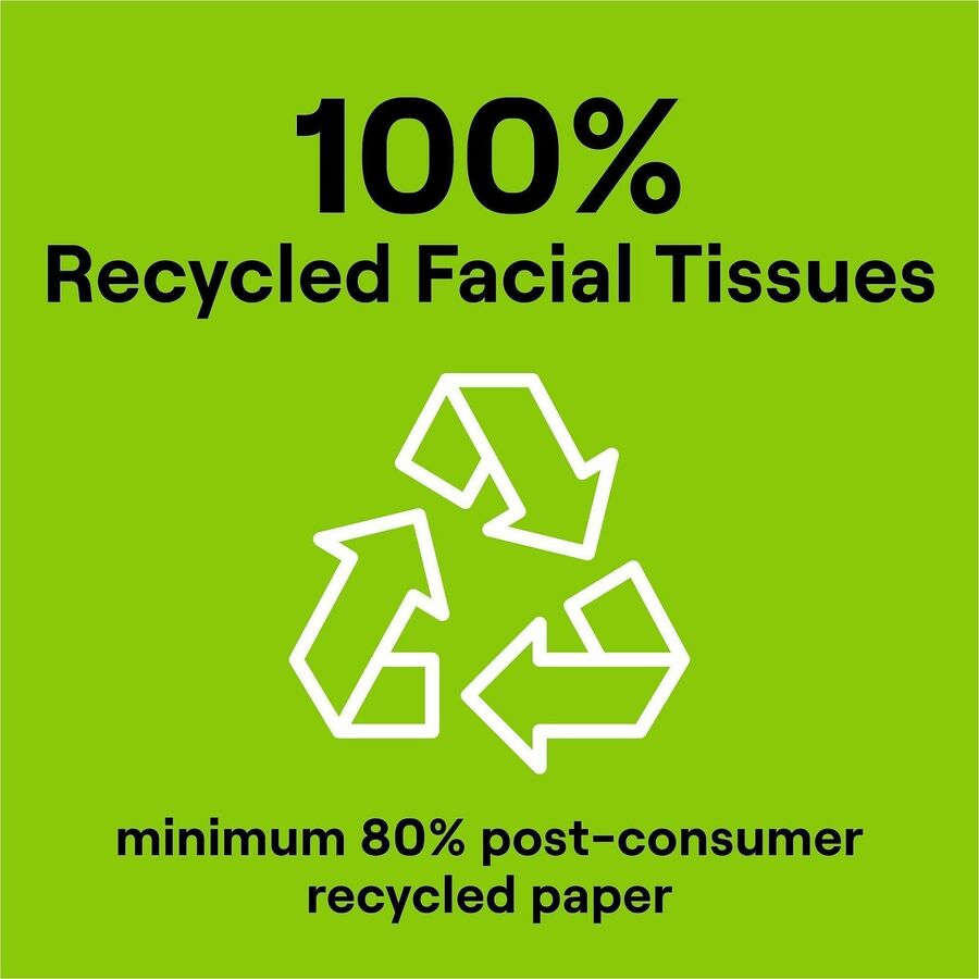 Seventh Generation 100% Recycled Facial Tissues - 2 Ply - White - Paper - 1 Box