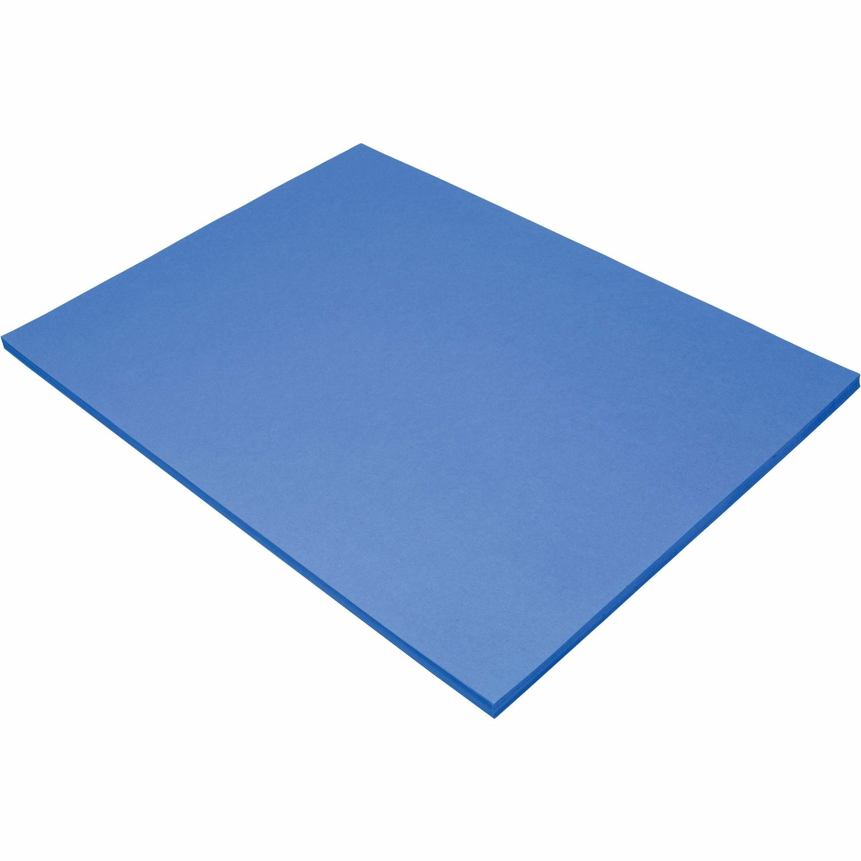Tru-Ray Construction Paper - 24" Width x 18" Length - Blue - 1 Pack
