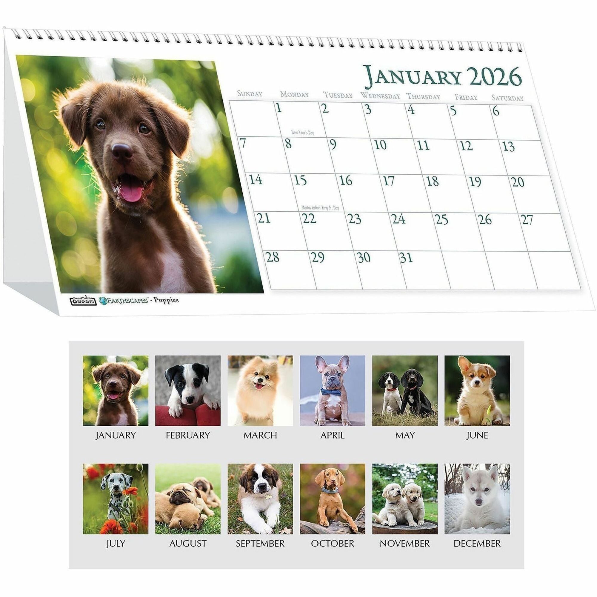 Julian Dates - Monthly - 1 Year - January 2026 to December 2026 - 1 Month Double Page Layout - 8 1/2" x 4 1/2" Sheet Size - Spiral Bound - Desktop - White - Paper - 1 Each