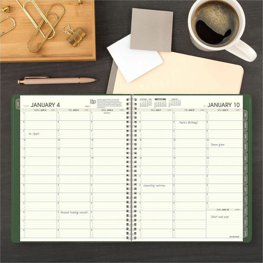 At-A-Glance Recycled Appointment Book Planner, Large, Weekly/Monthly, January 2026–December 2026, 8 1/4" x 11", Green Cover, Wire Bound, 1 Each