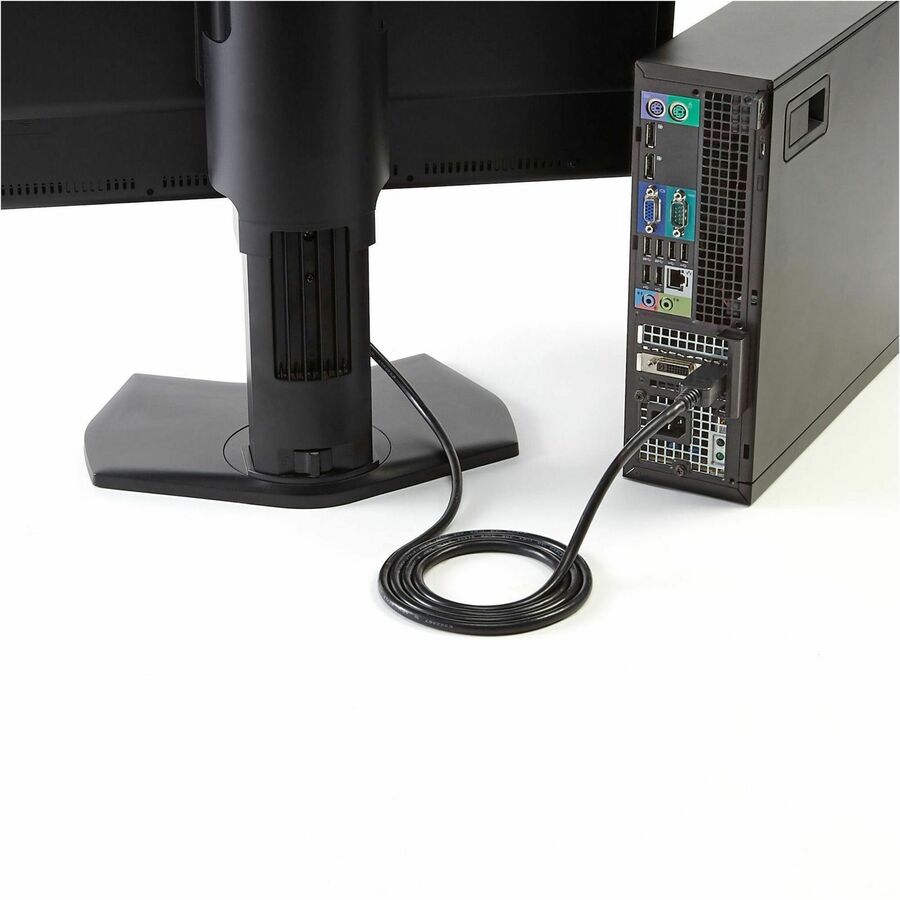 StarTech.com 6 ft DisplayPort to DVI Cable - M/M