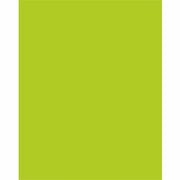 22" Width x 28" Length - Hot Lime - 25 / Carton