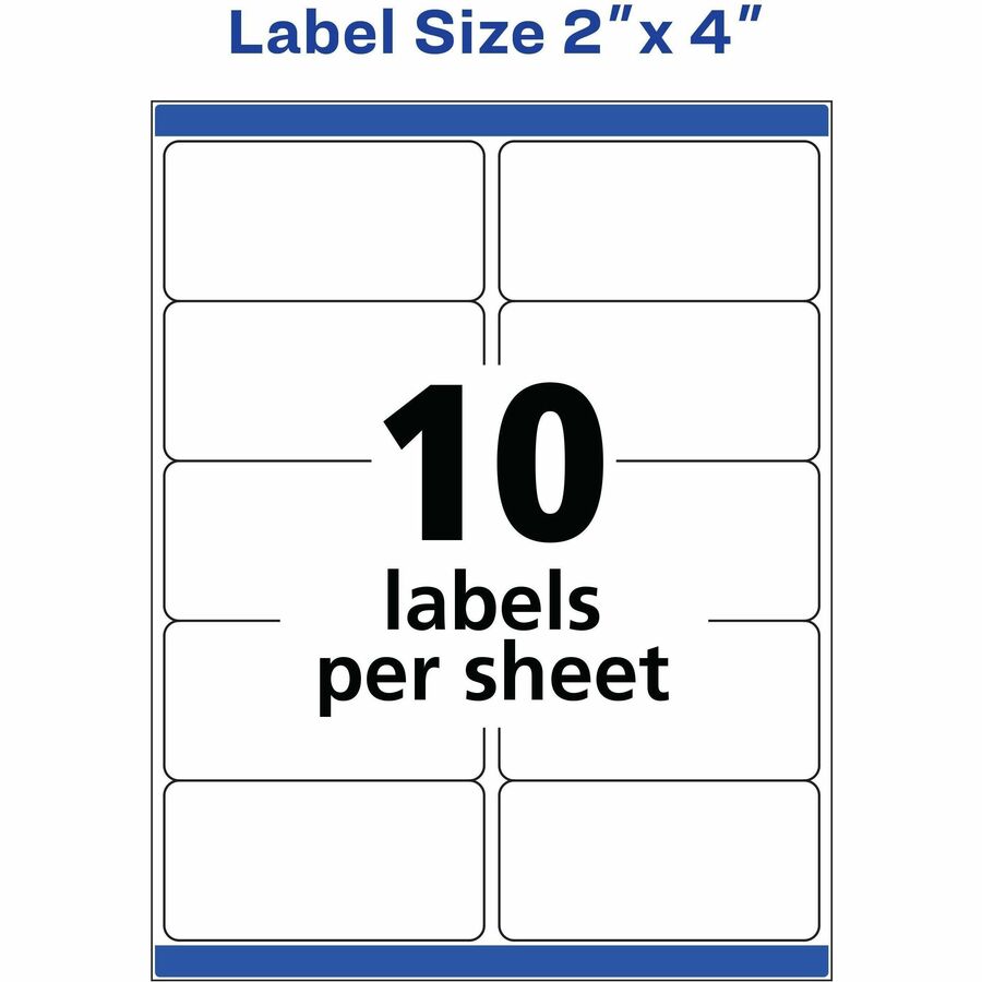 2" Width x 4" Length - Permanent Adhesive - Rectangle - Inkjet - Matte - White - Paper - Permanent Adhesive, Jam Resistant, Customizable, Smudge Resistant - 10 / Sheet - 50 Total Sheets - 500 Total Label(s) - 500 / Box