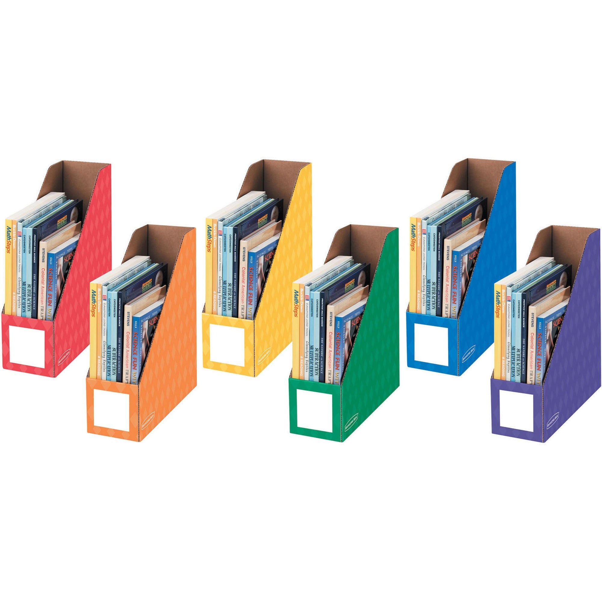 Assorted - 1 Pack